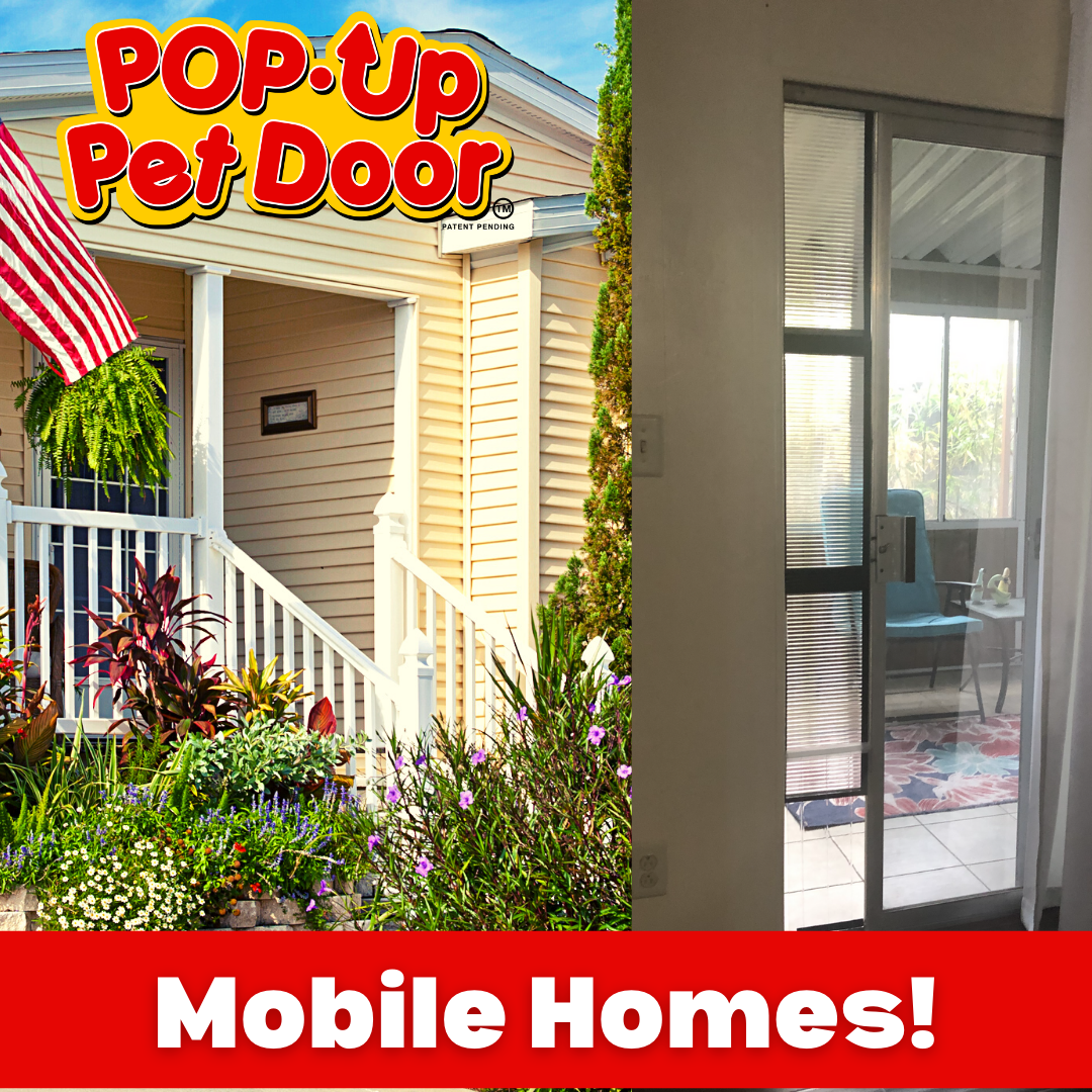 Doggy door top for renters